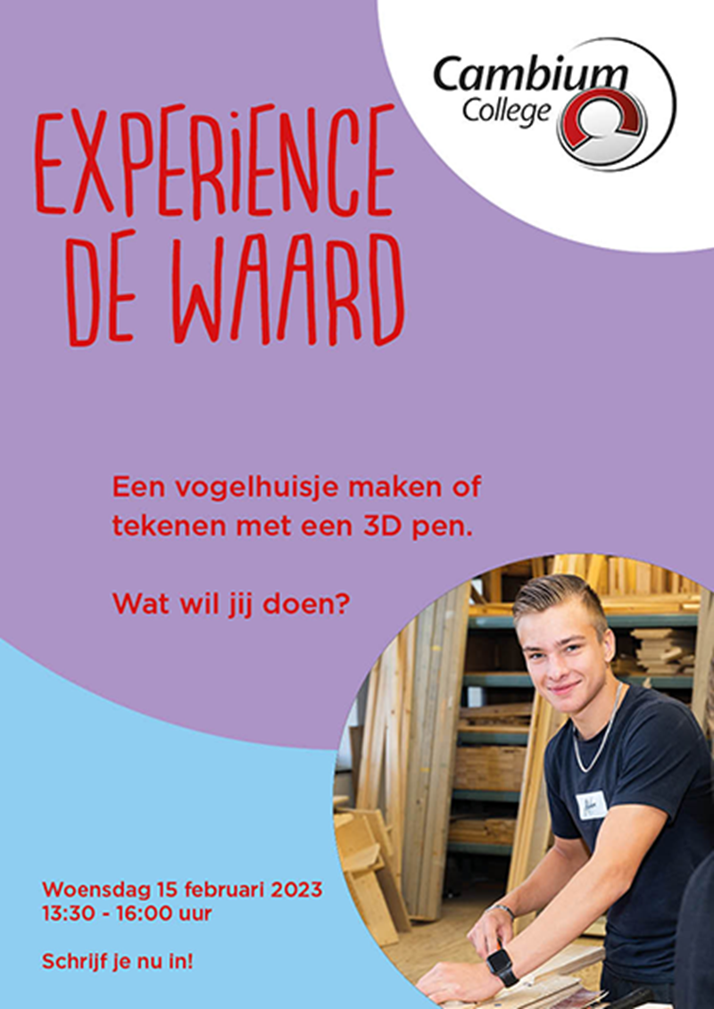 Experience De Waard
